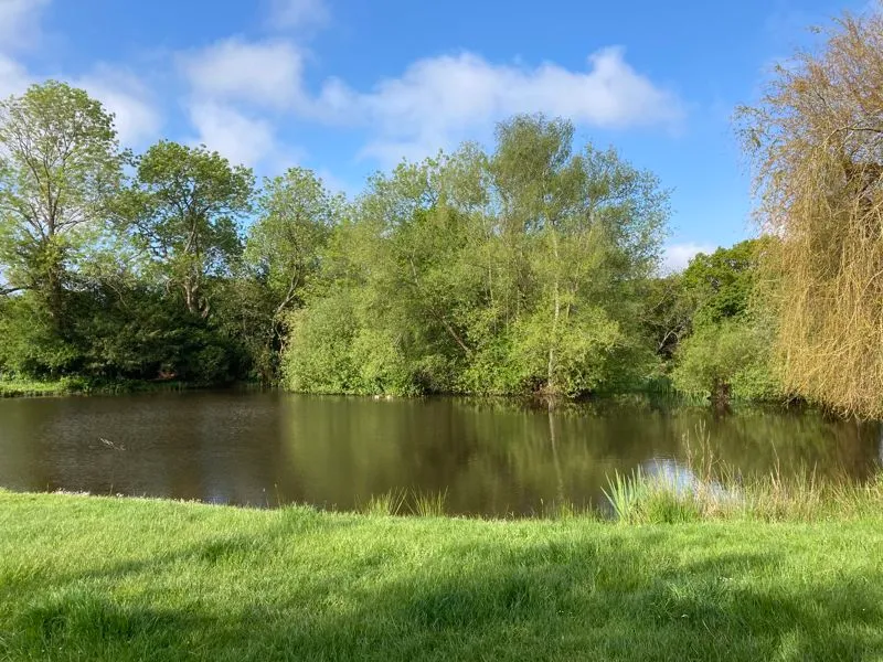 Hill Meadow Coleshill, Amersham HP7 0LF, photo 10