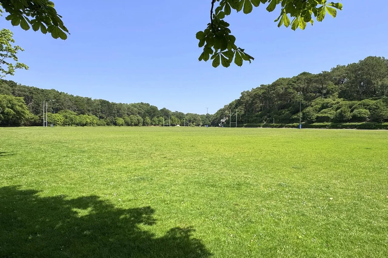 Central Drive, BH2, photo 23
