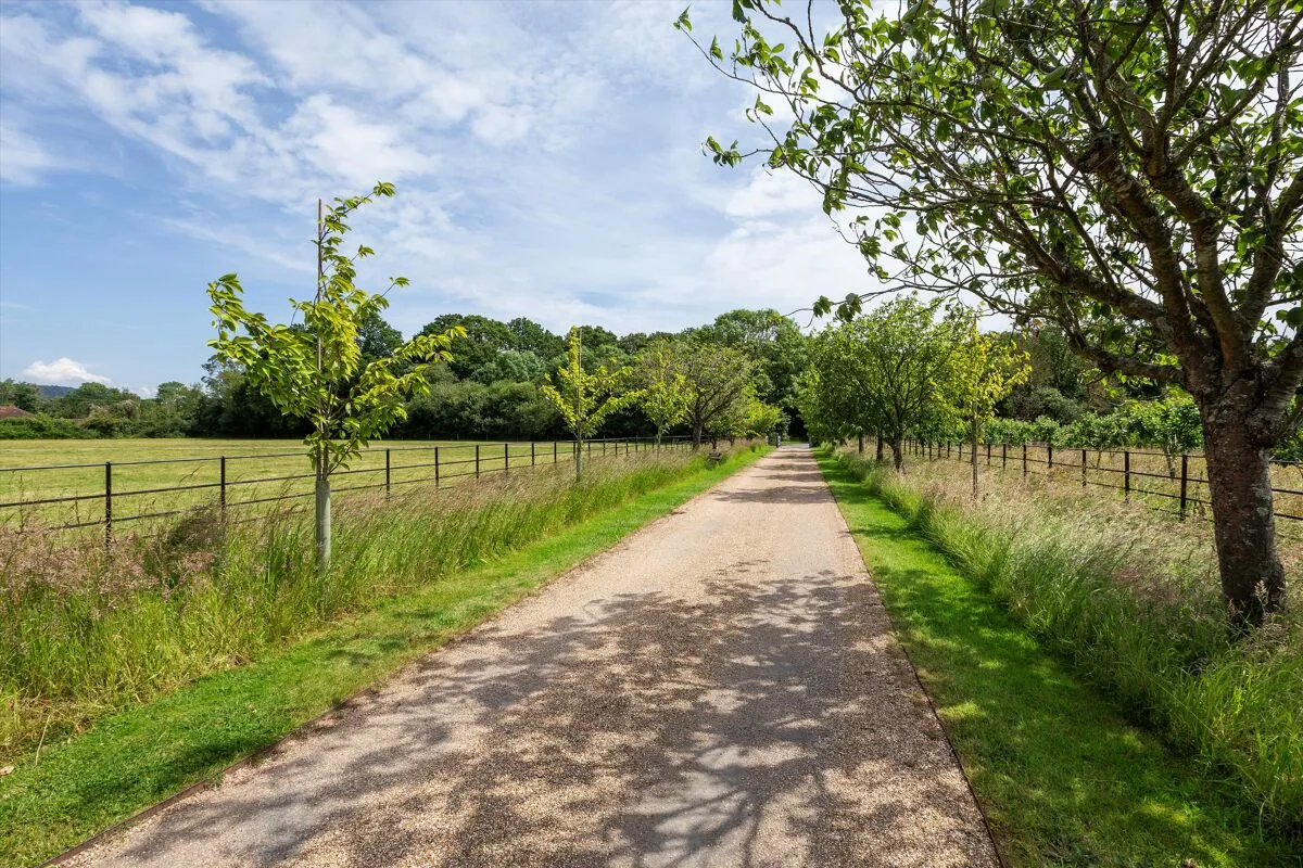 The Common, Dunsfold, GU8, photo 40