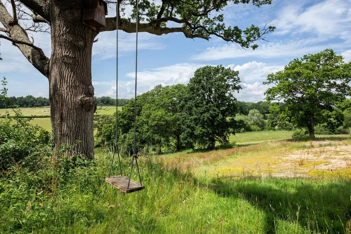 The Common, Dunsfold, GU8, photo 26