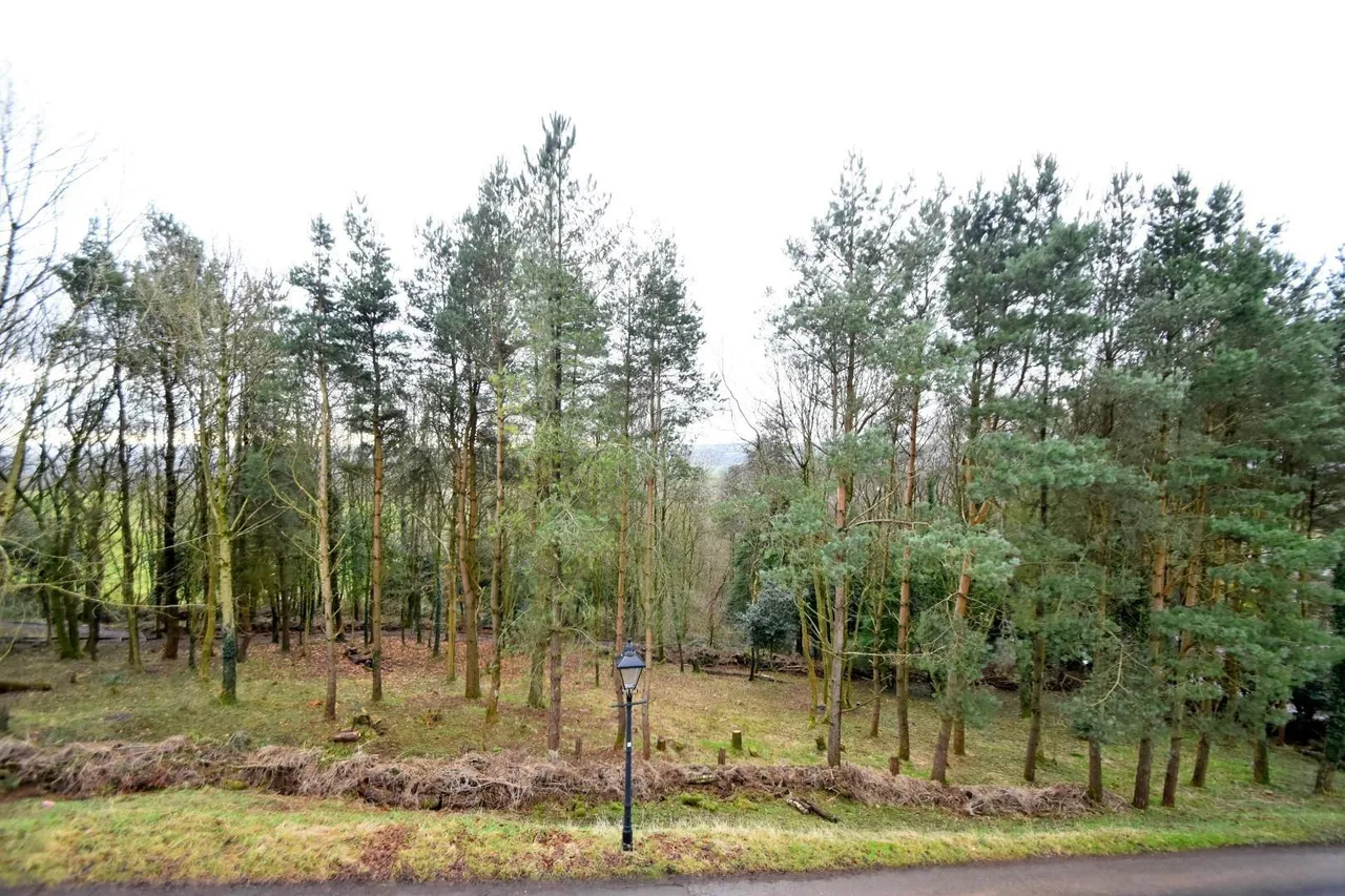 Mount Pleasant, Nangreaves, BL9, photo 22