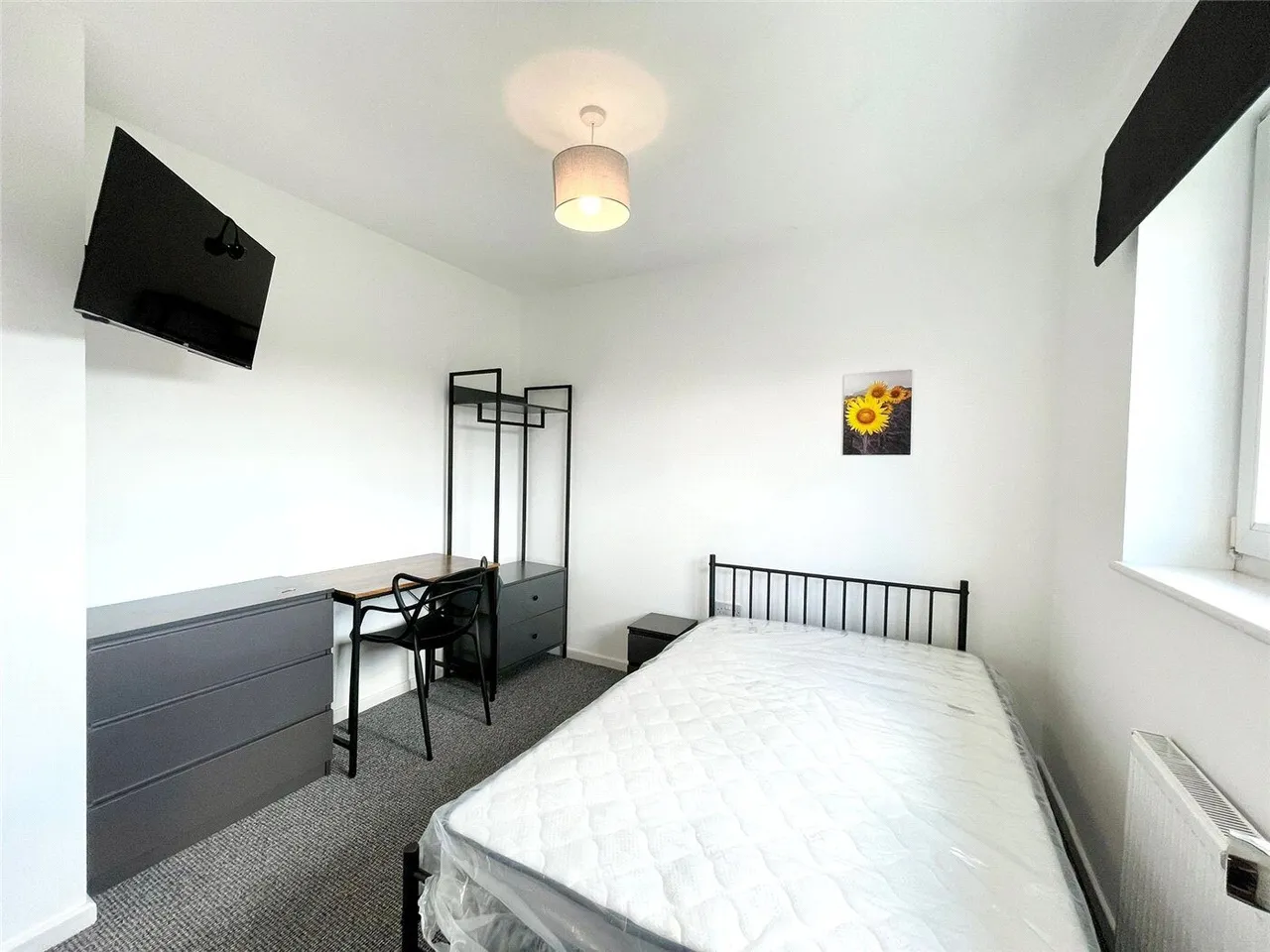 Wilberforce Road, Norwich, NR5, photo 17