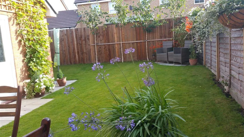 Rainsford Crescent, Kidderminster, DY10, photo 10