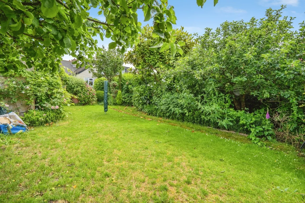 Park Avenue, Waterlooville, PO7, photo 14