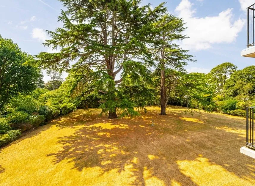Palace Road, East Molesey, KT8, photo 6
