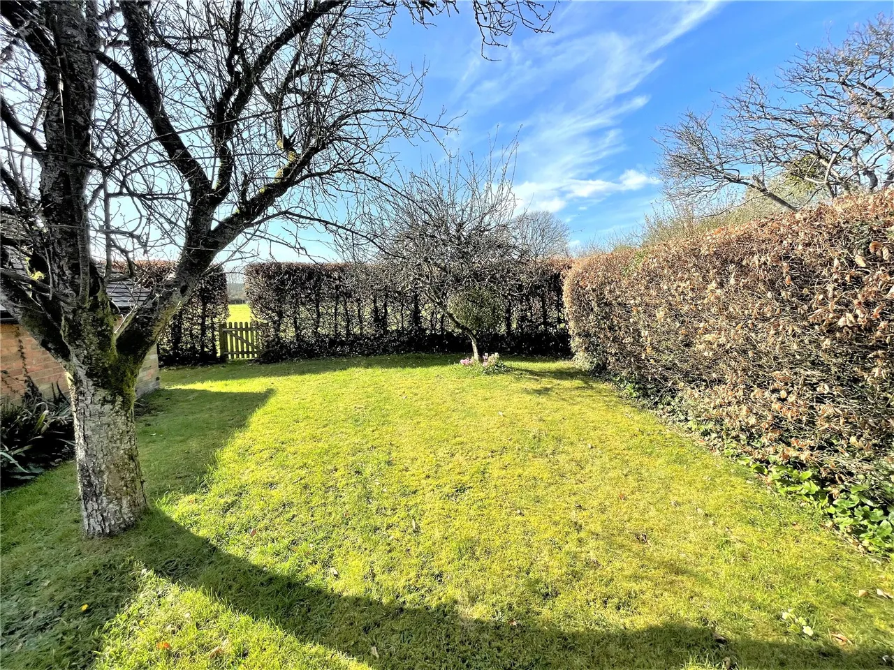 Salisbury Road, Breamore, Fordingbridge, Hampshire, SP6 2EA, photo 10