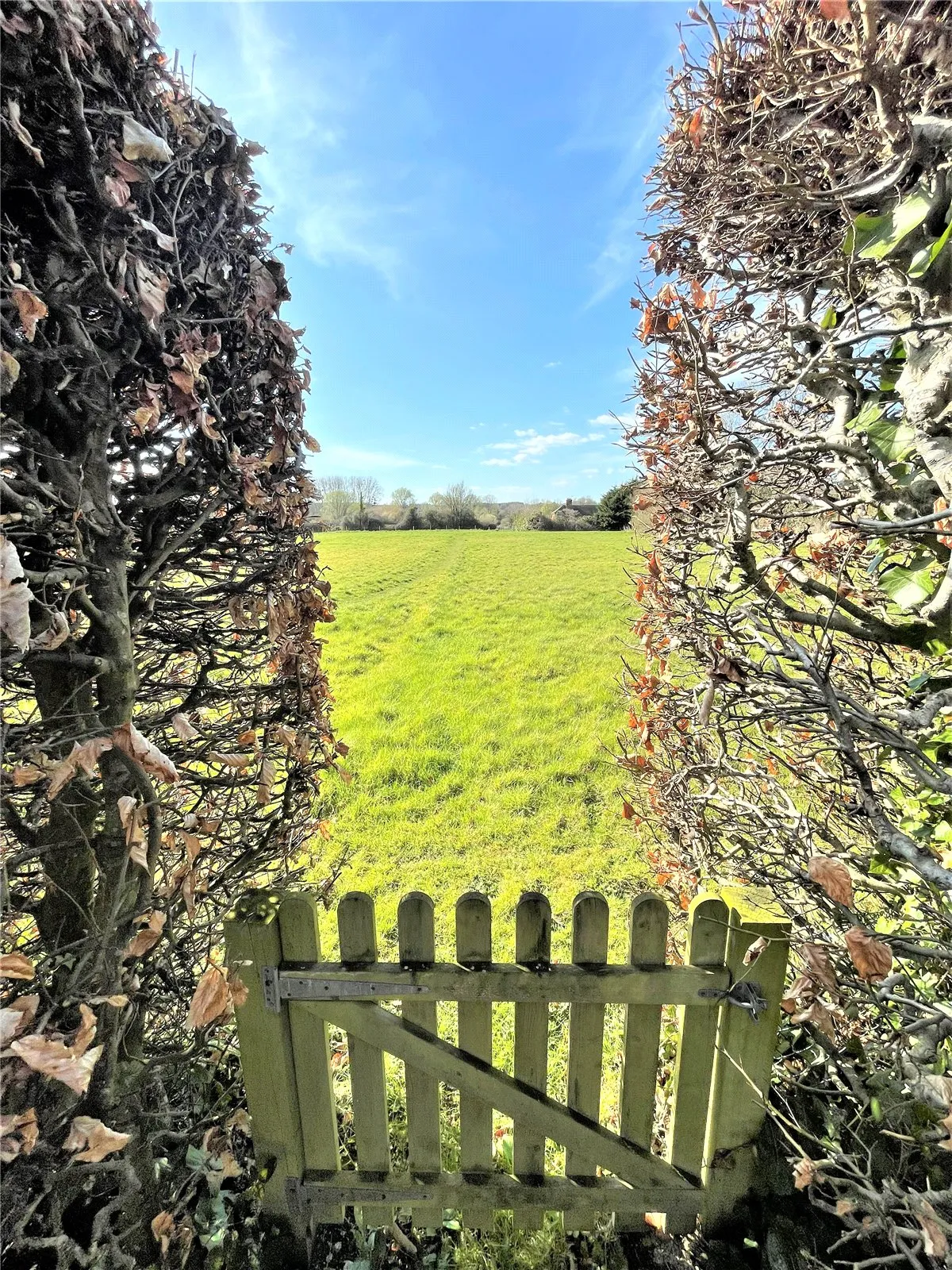 Salisbury Road, Breamore, Fordingbridge, Hampshire, SP6 2EA, photo 11