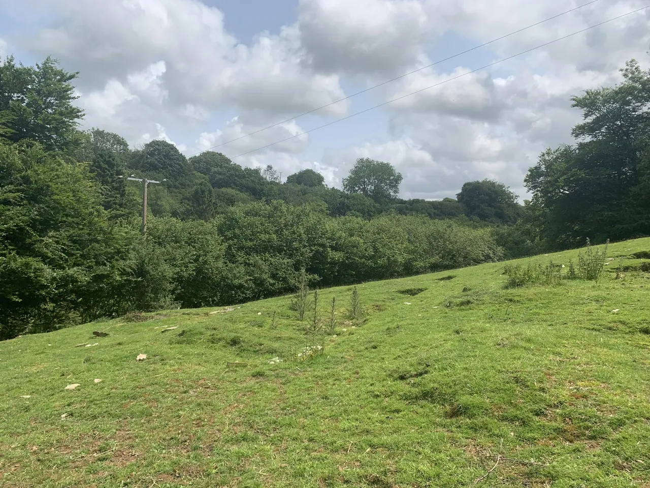 East Down, Barnstaple, EX31, photo 29