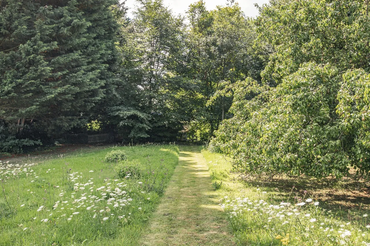 Coltishall, photo 20