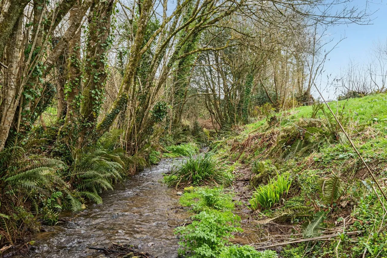 Lower Loxhore, Barnstaple, EX31, photo 16