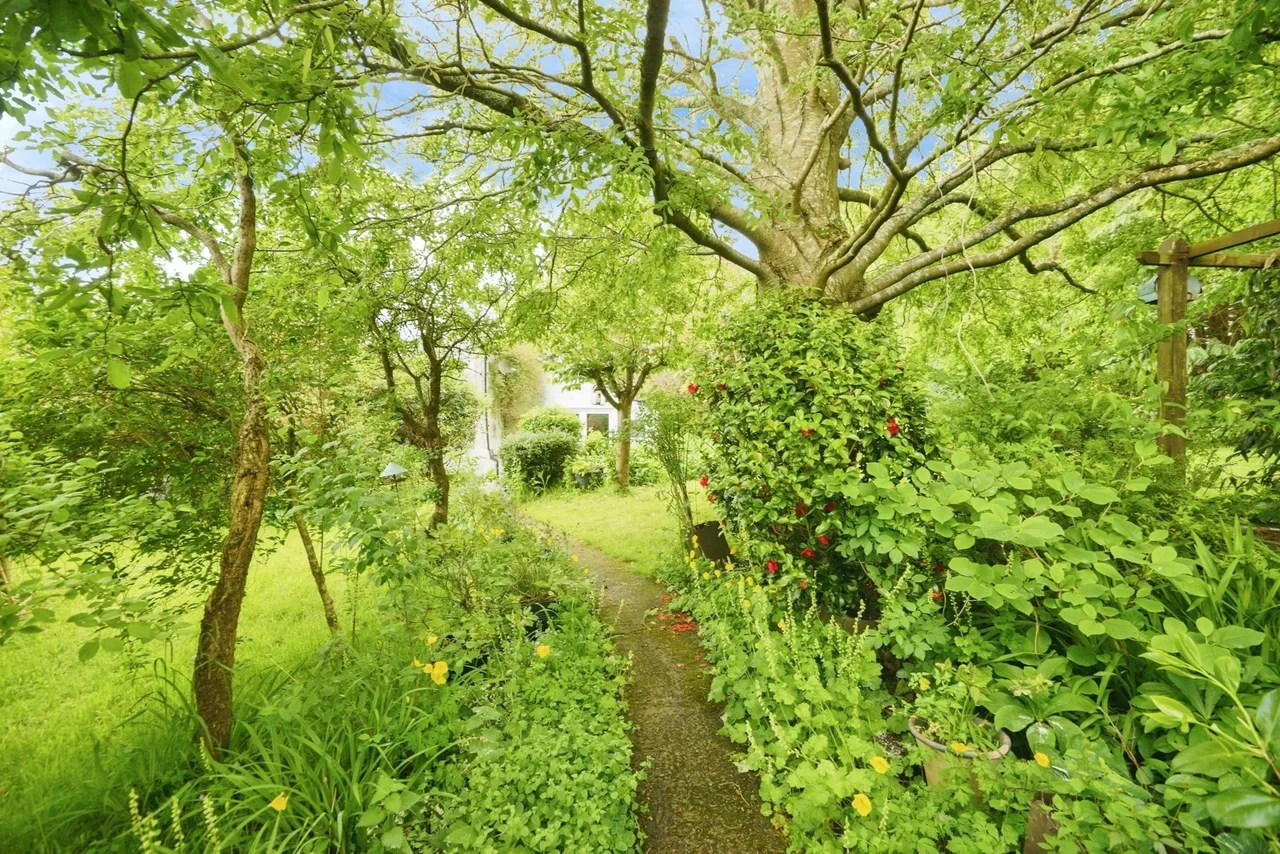 Groeslon, Caernarfon, LL54, photo 15