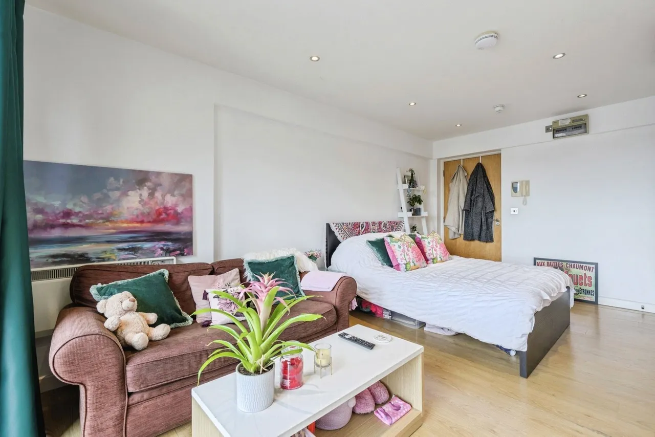 Constantine Street, Plymouth, PL4, photo 6