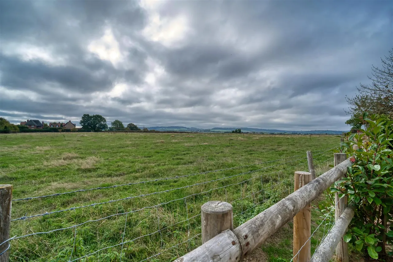 De Briane Close, Hazelbury Bryan, photo 5