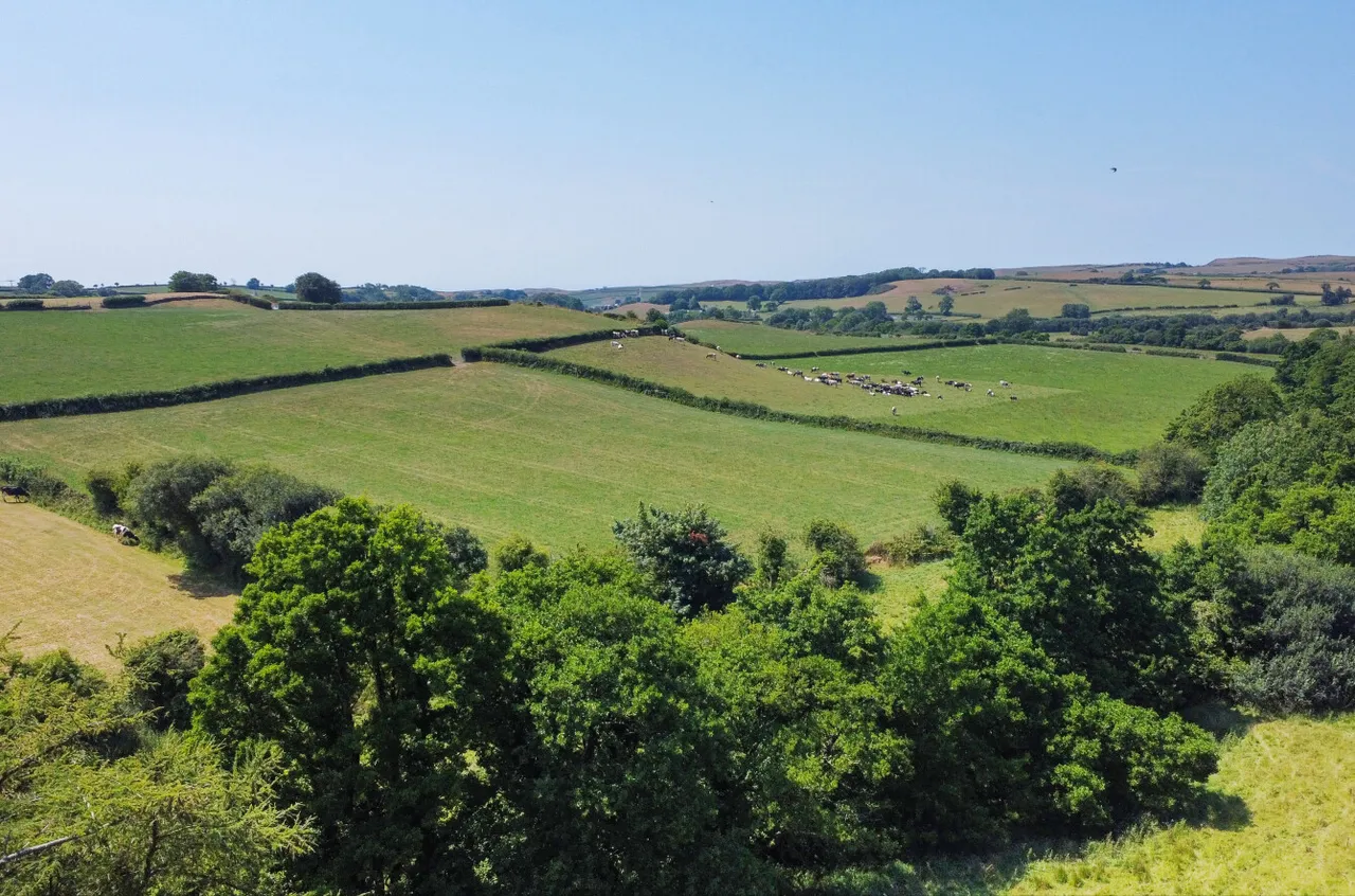 Llanddeiniol, Llanrhystud, photo 42