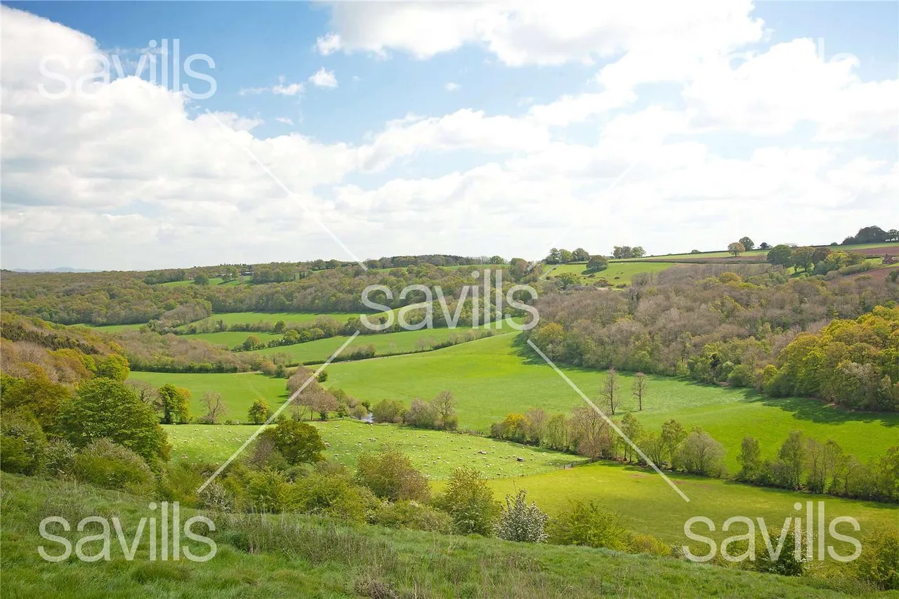 The Dinmore Manor Estate, Hope Under Dinmore, HR4, photo 18