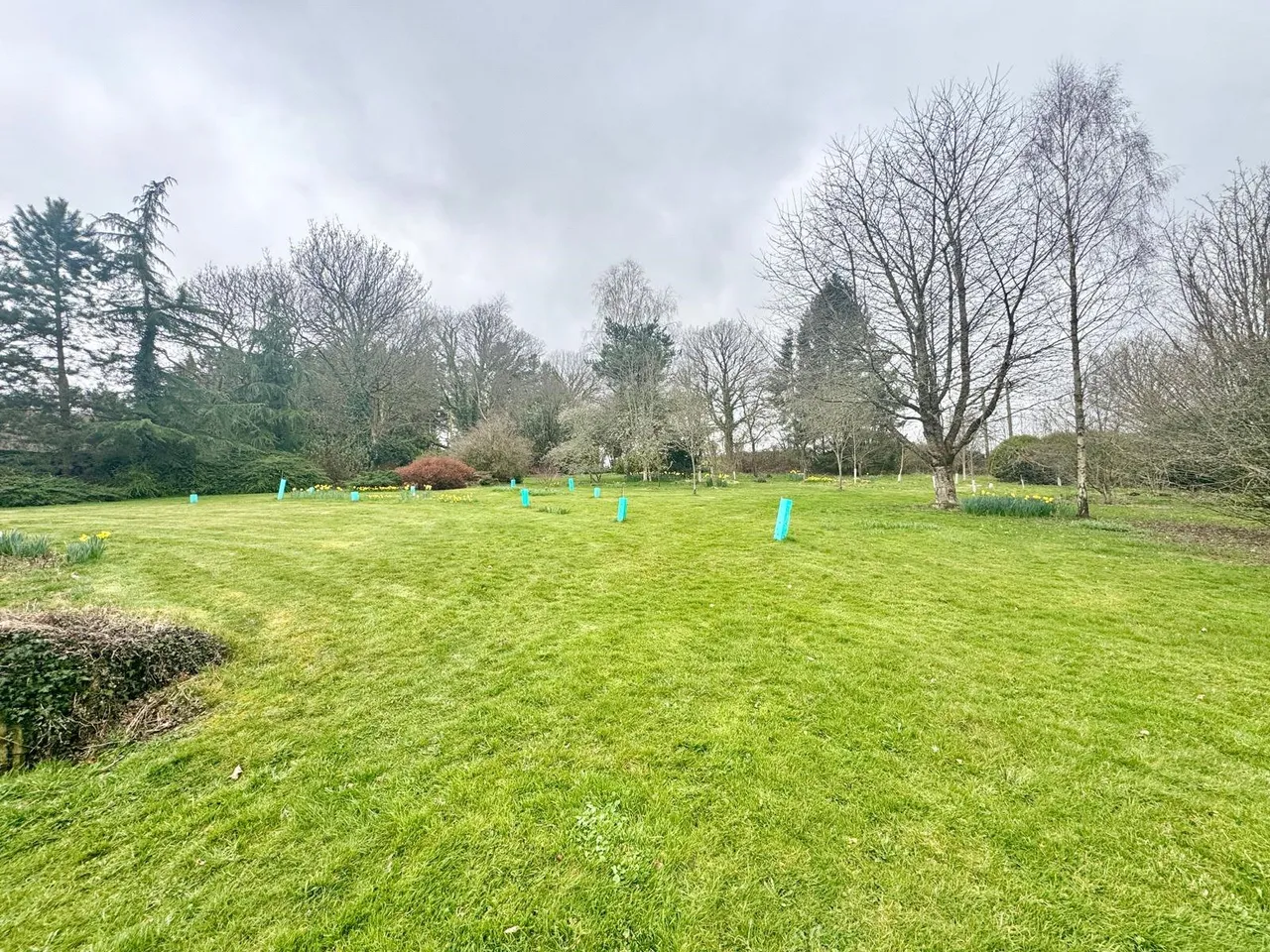 Llanynis, Builth Wells, Powys, LD2 3HH, photo 30