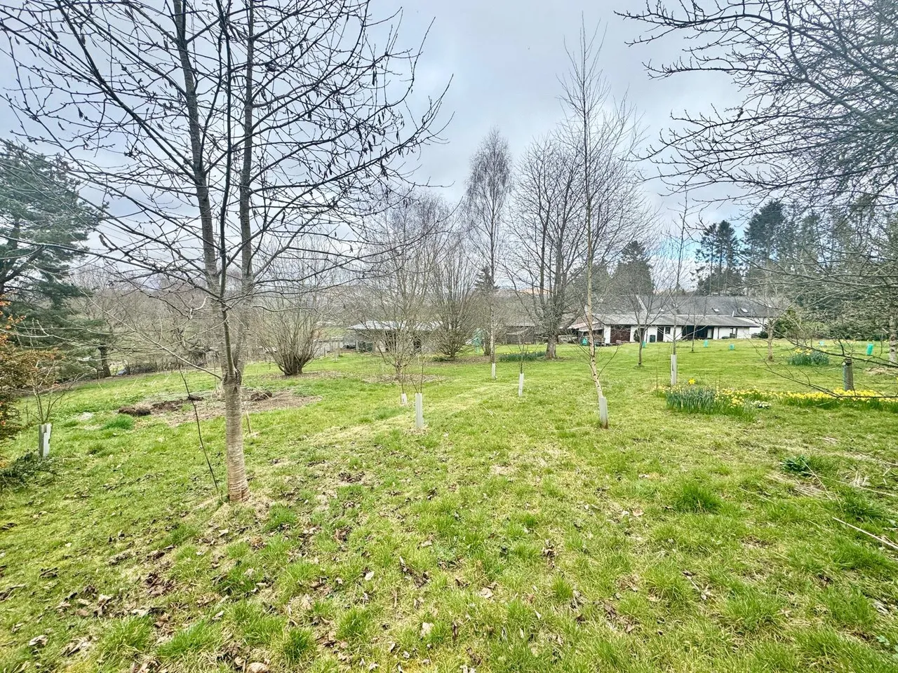 Llanynis, Builth Wells, Powys, LD2 3HH, photo 31