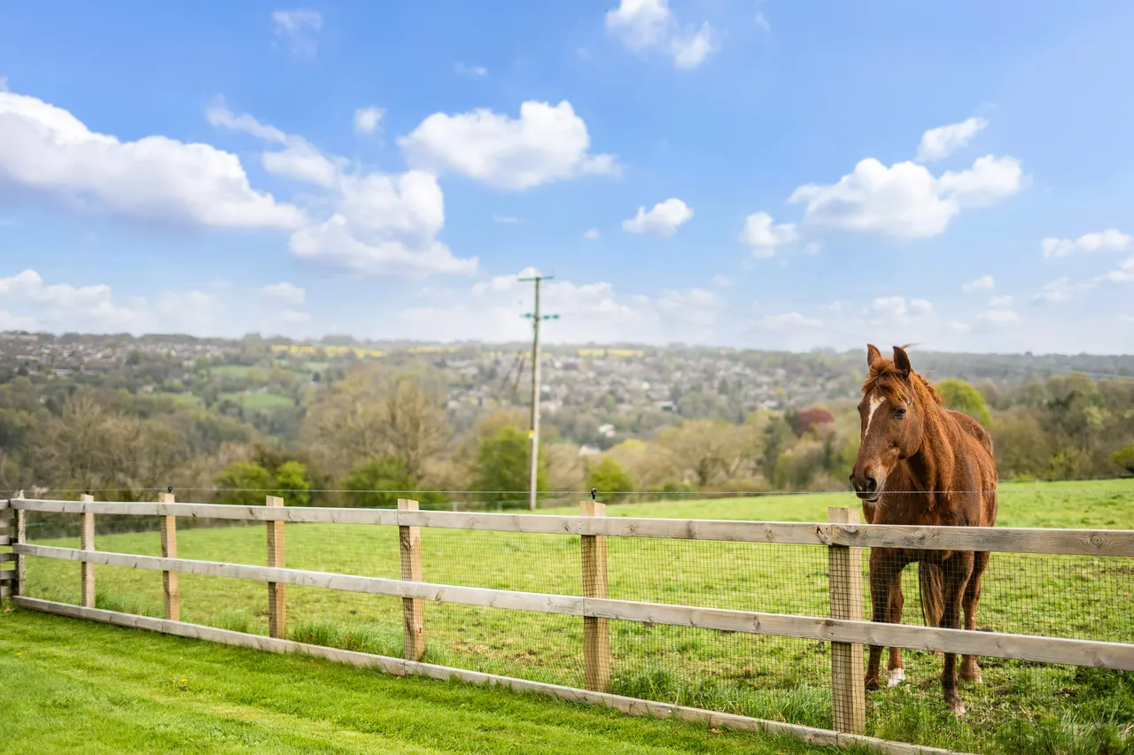 Hyde, Chalford, GL6, photo 11