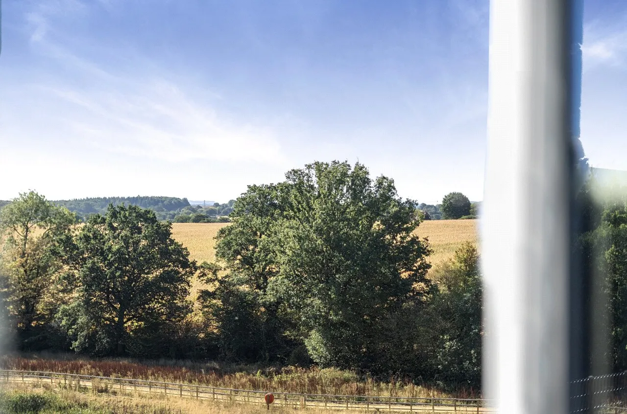 Shepherds Ridge, Mortimer Common, Reading, Berkshire, RG7 3WF, photo 5