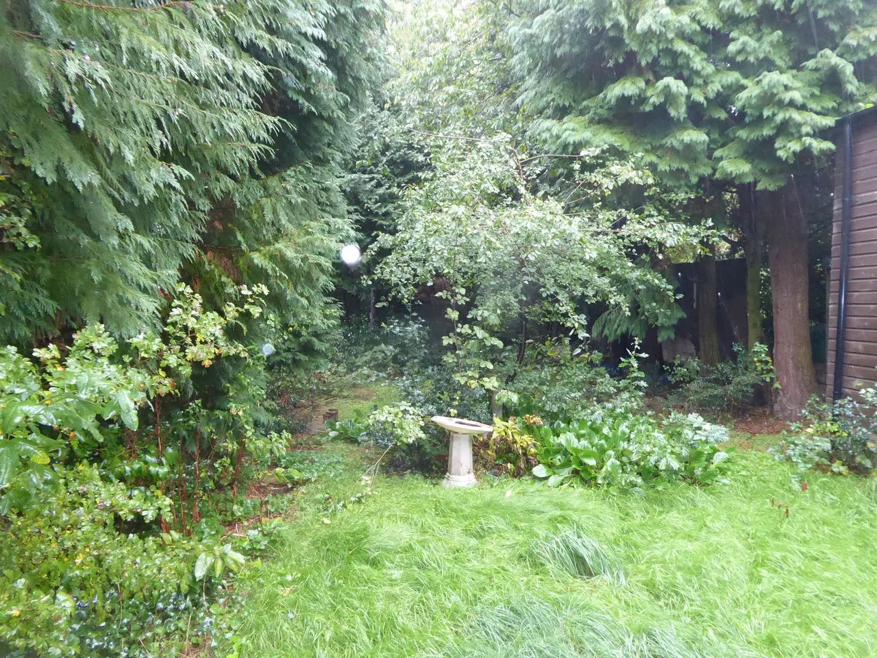 Park Lane, Wednesbury, photo 13