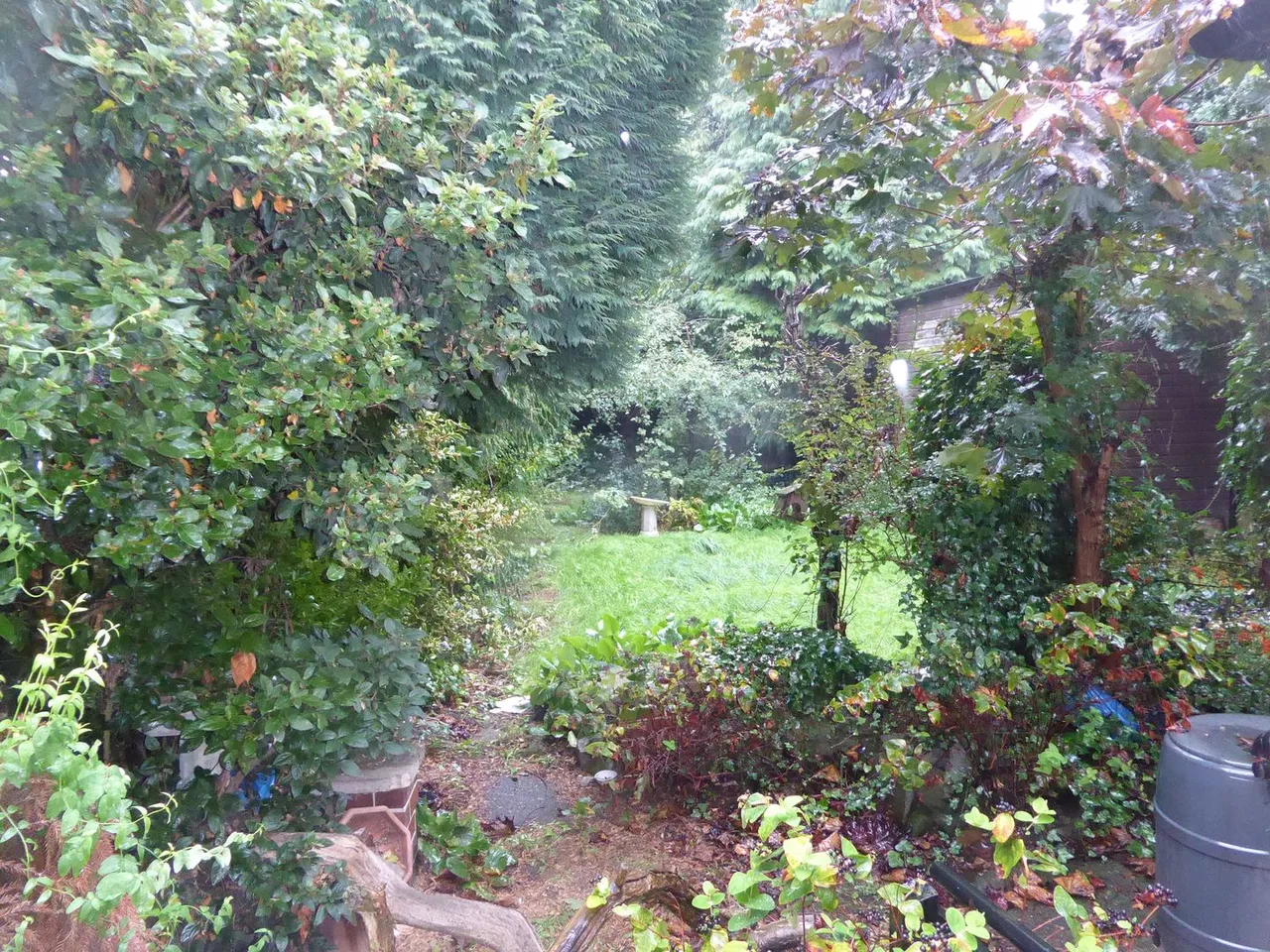 Park Lane, Wednesbury, photo 11