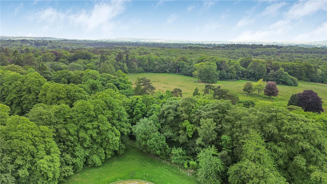 Miller Avenue, Grayshott, GU26, photo 24