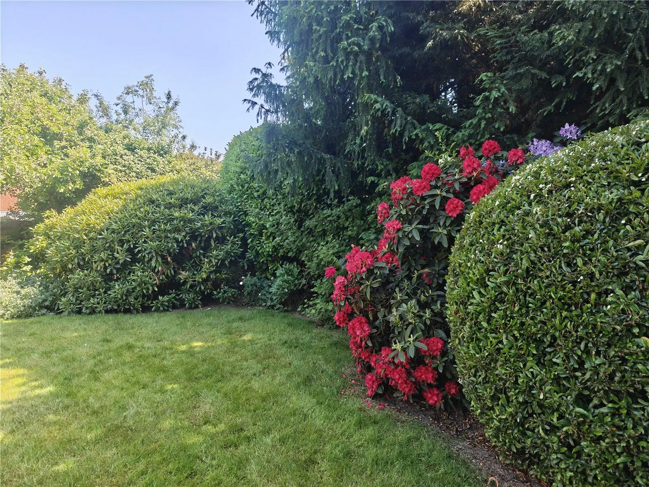 Crofton Road, BR6, photo 28