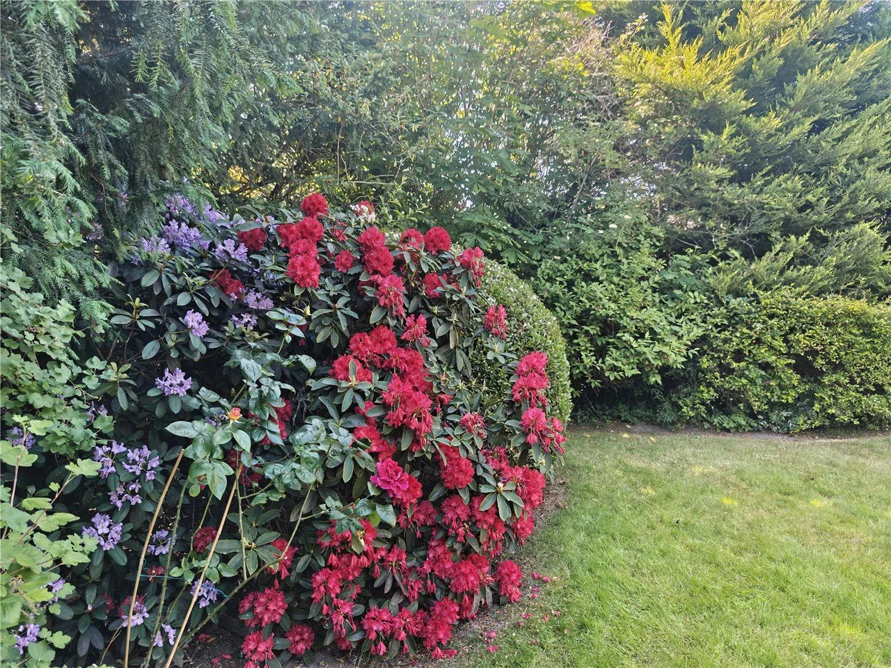 Crofton Road, BR6, photo 30