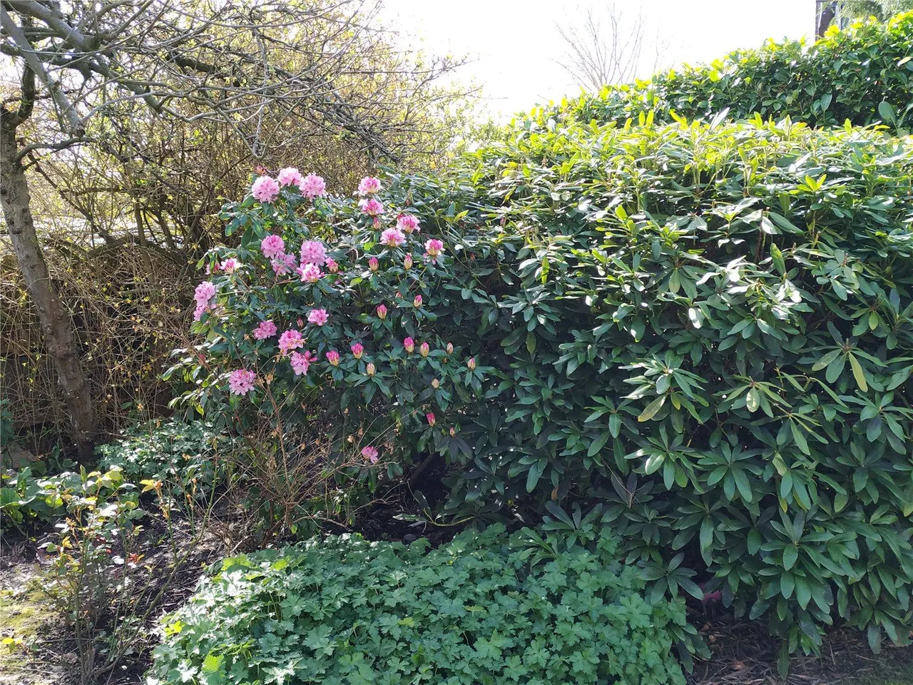 Crofton Road, BR6, photo 34