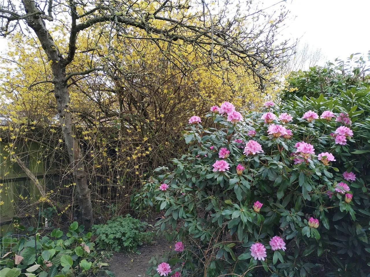 Crofton Road, BR6, photo 35