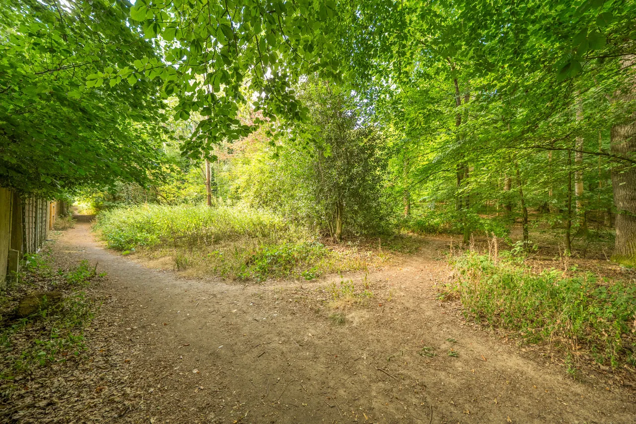 Whitelands Avenue, Chorleywood, WD3, photo 21