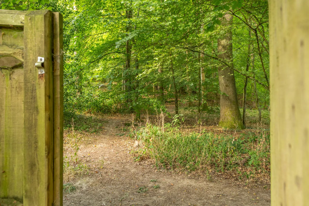 Whitelands Avenue, Chorleywood, WD3, photo 20