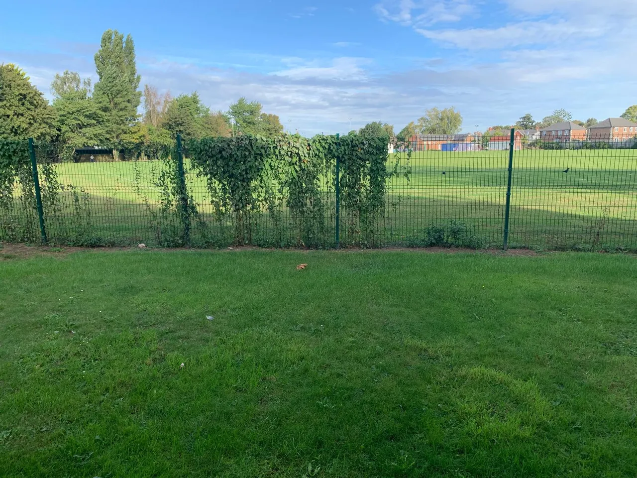 Brayfields, Pinchbeck, PE11, photo 19
