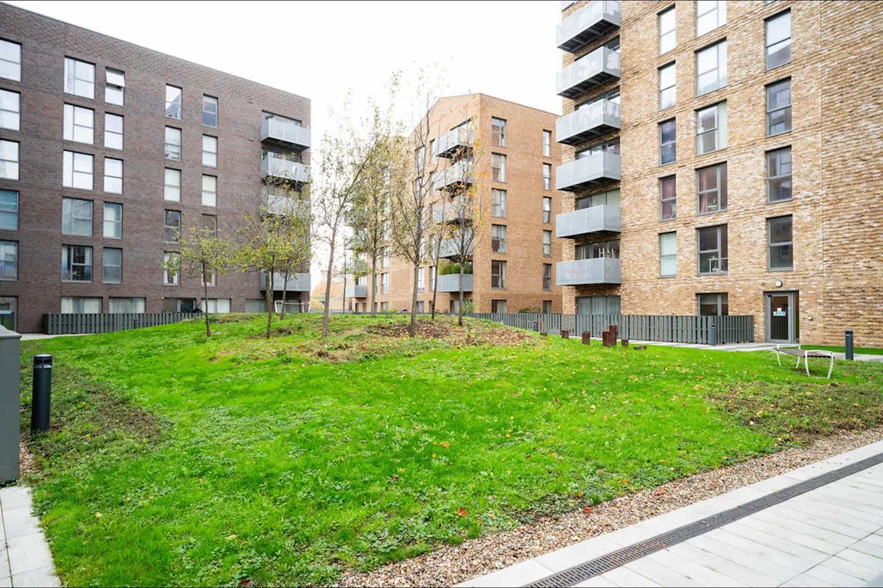 Henry Street, London, SE8, photo 19