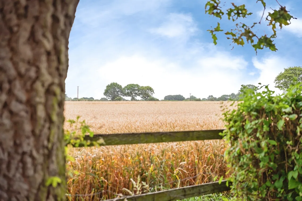 Heath Lane, WARRINGTON, Cheshire, WA3, photo 6