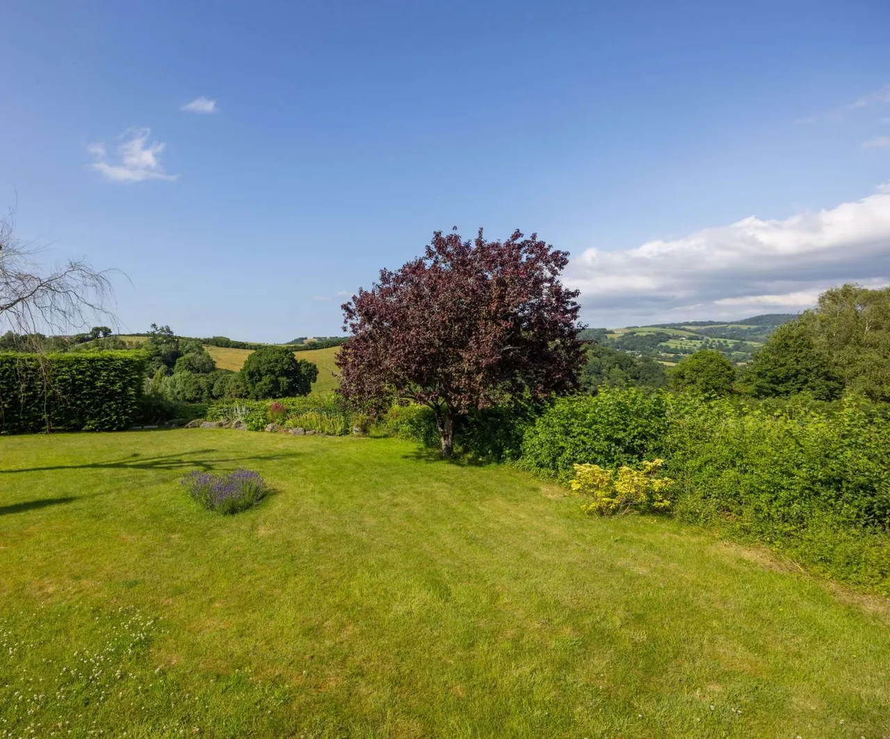 Christow, Exeter, Devon, EX6 7NR, photo 7