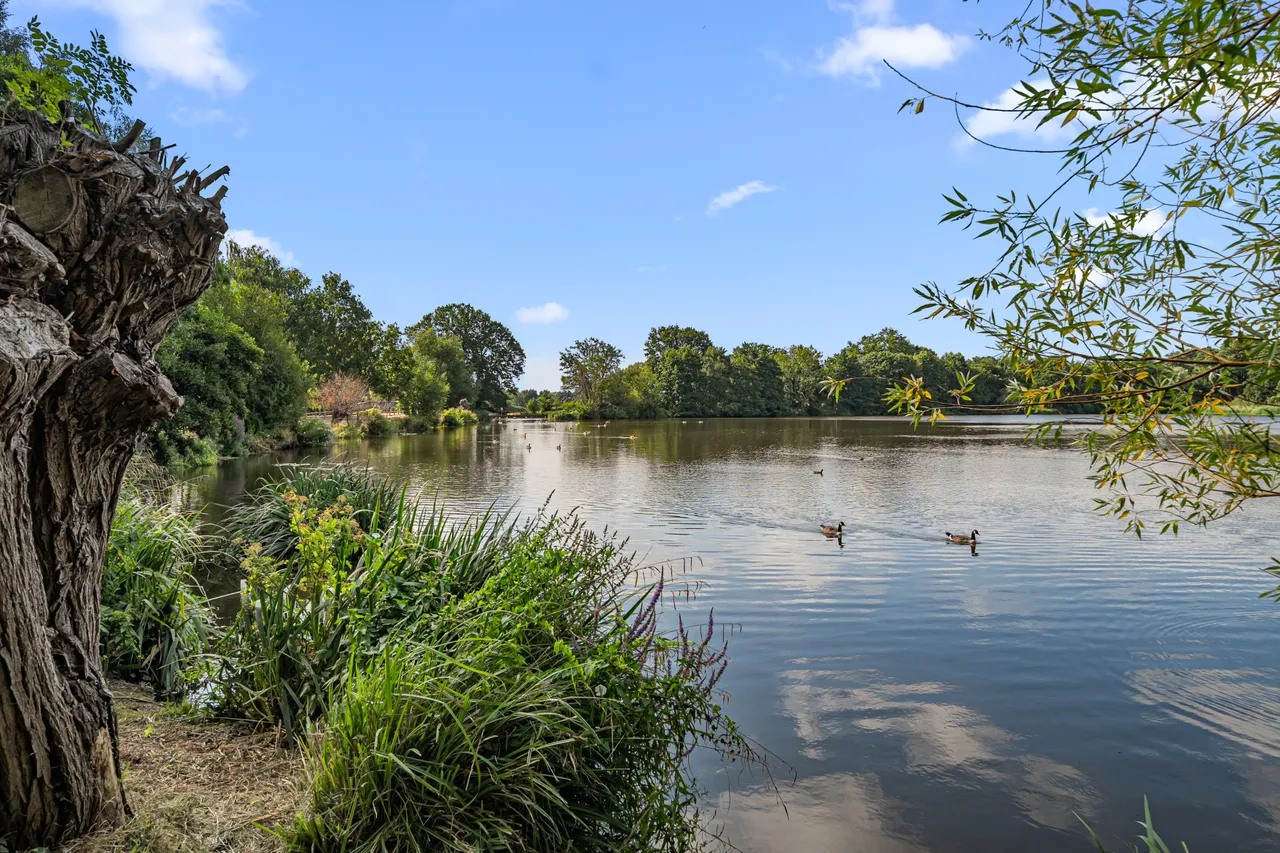 Bourneside Road, Addlestone, KT15, photo 21