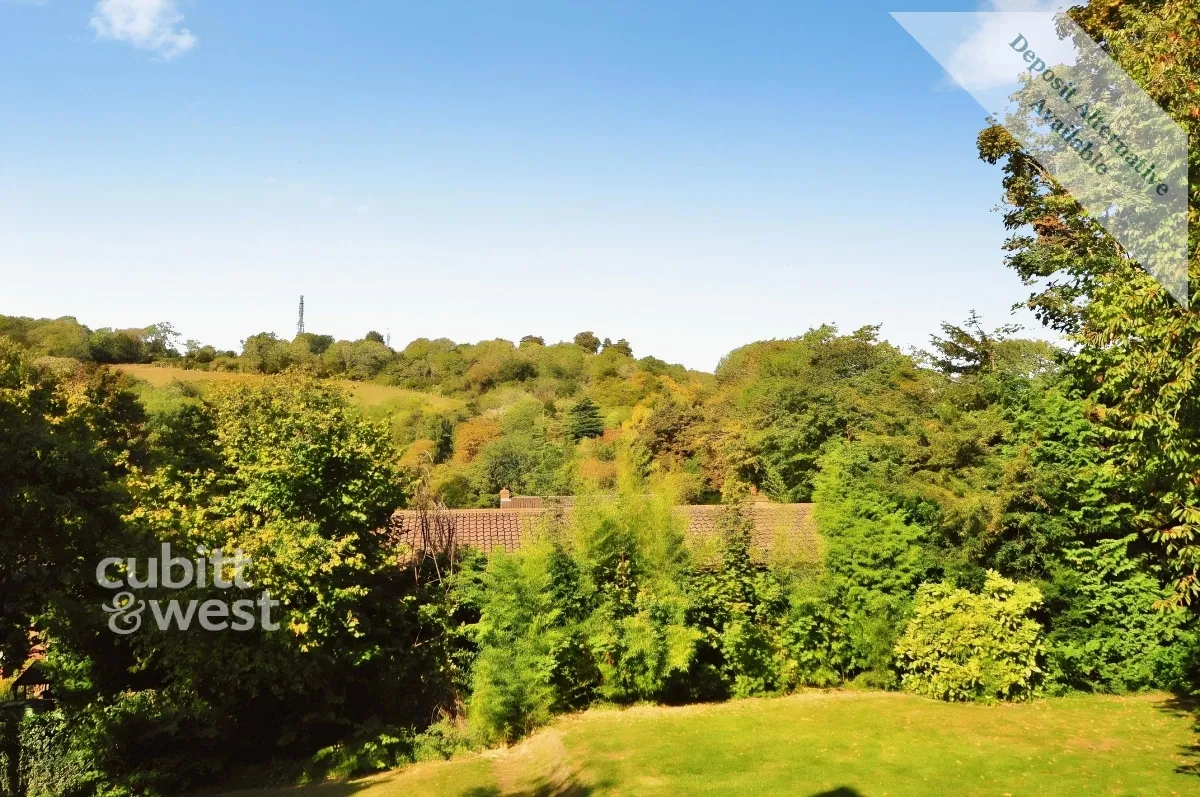Raglan Road, Reigate, RH2, photo 4