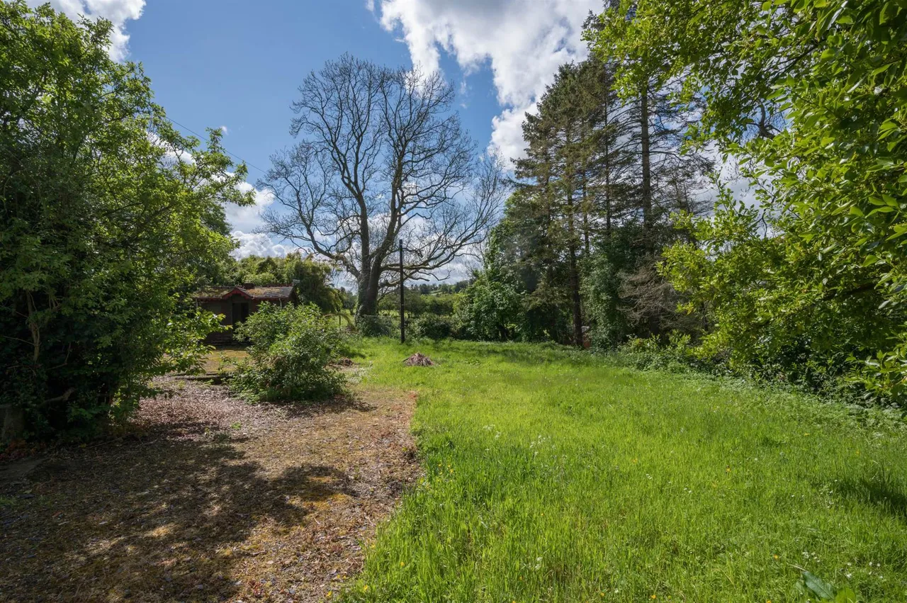 land (single dwelling) for sale, Dunmore Road, Spa, BT24