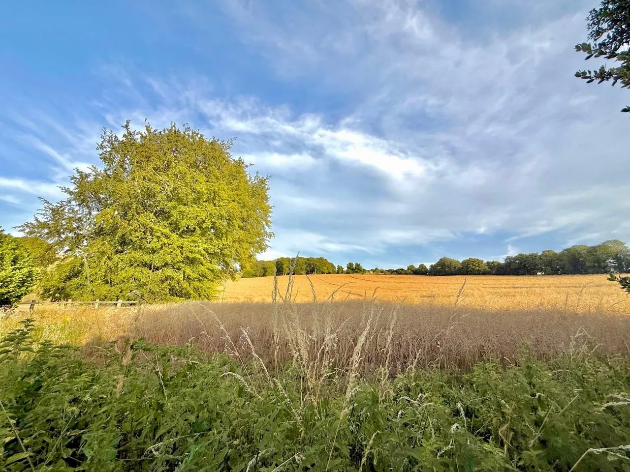 Ashbury, Vale Of White Horse, Oxfordshire, SN6 8LN, photo 5