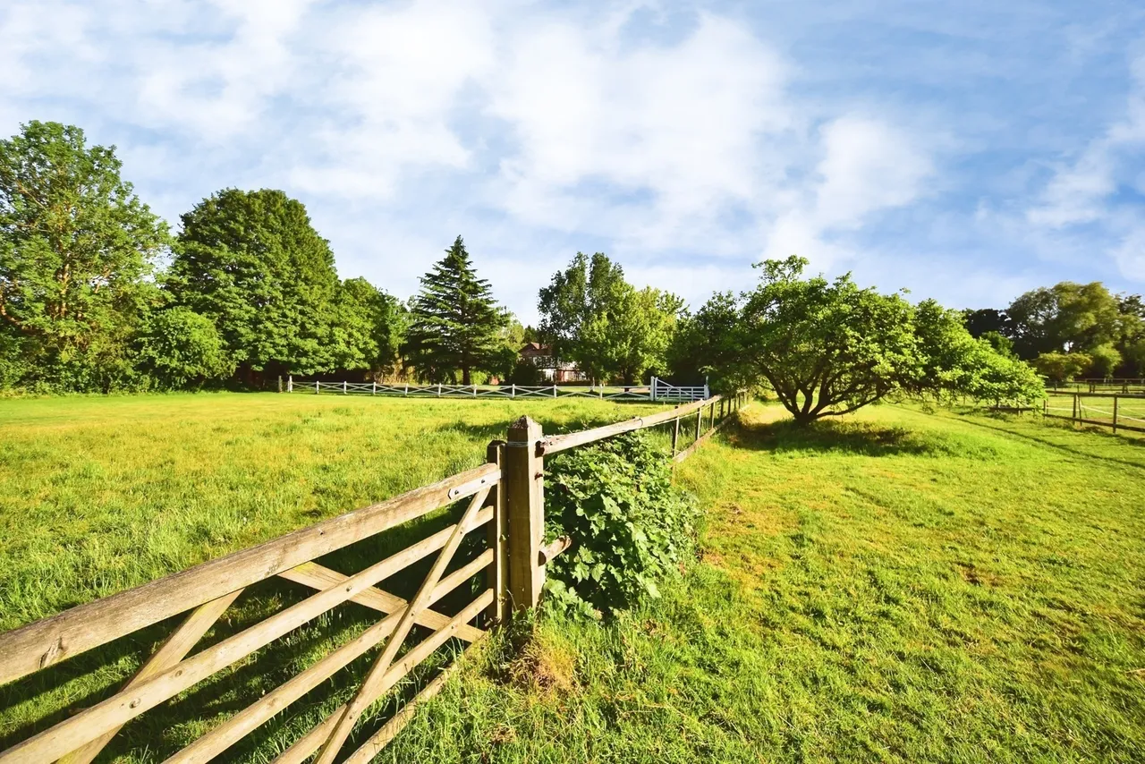 Broadwater Road, West Malling, Kent, ME19, photo 20