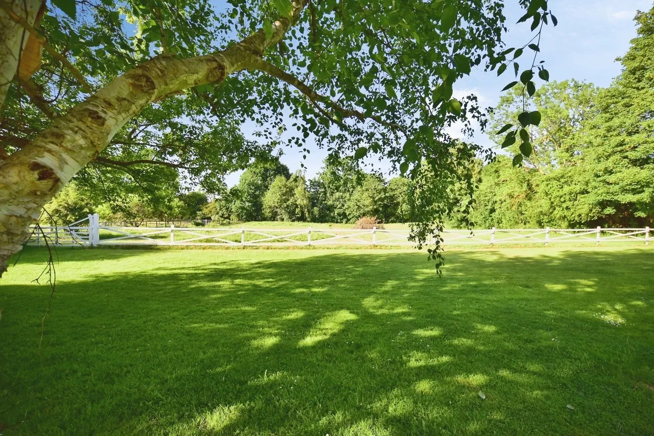 Broadwater Road, West Malling, Kent, ME19, photo 26