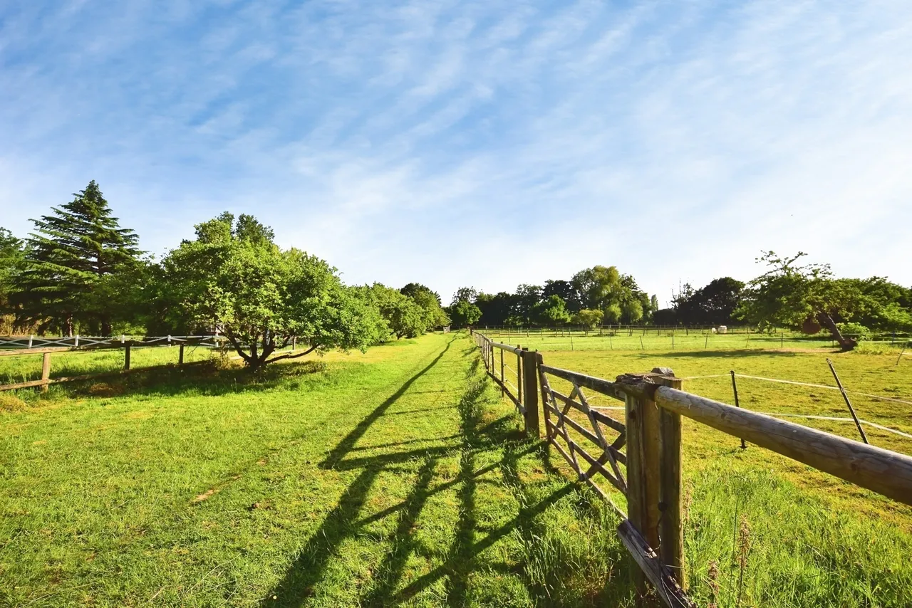 Broadwater Road, West Malling, Kent, ME19, photo 19