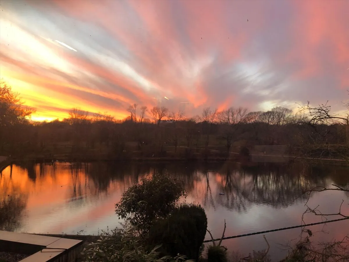 South Hill Park, London, NW3, photo 15