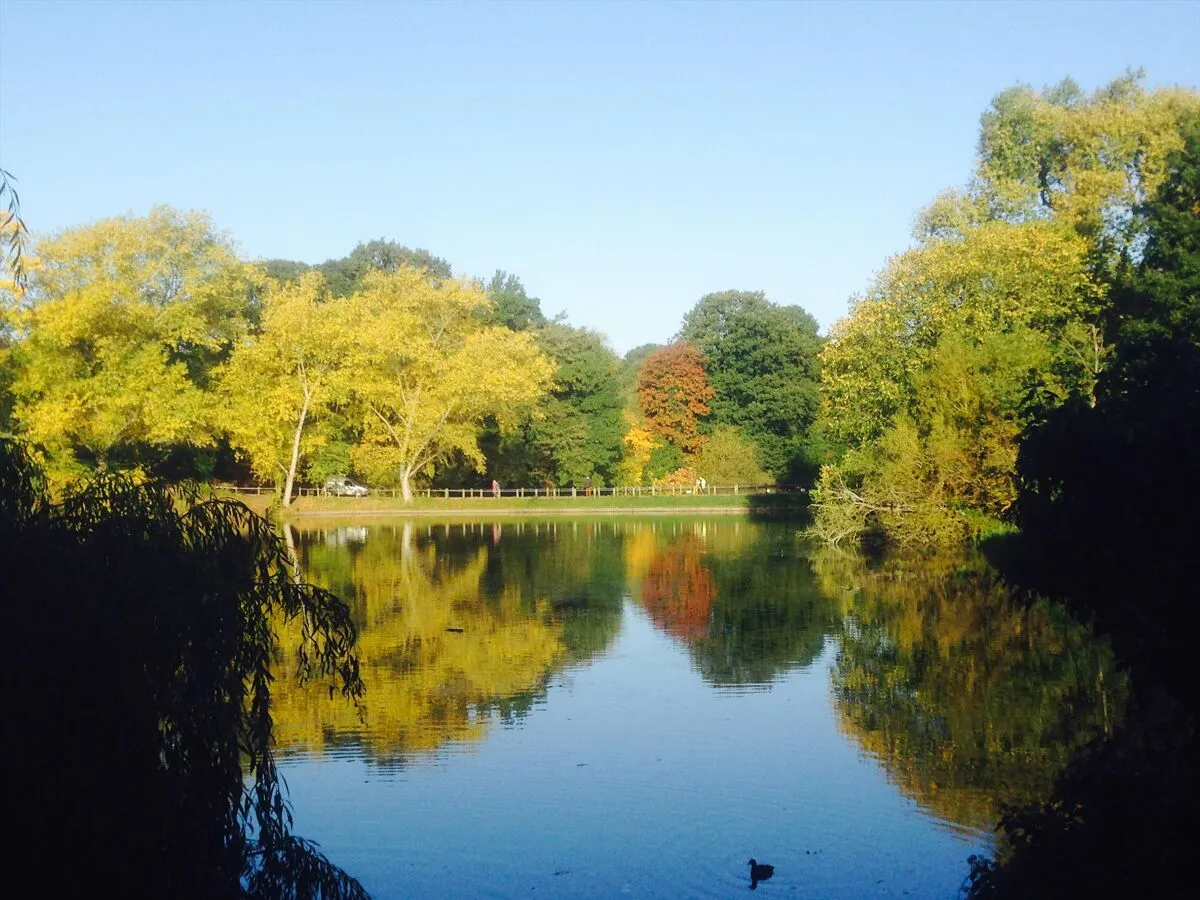 South Hill Park, London, NW3, photo 13