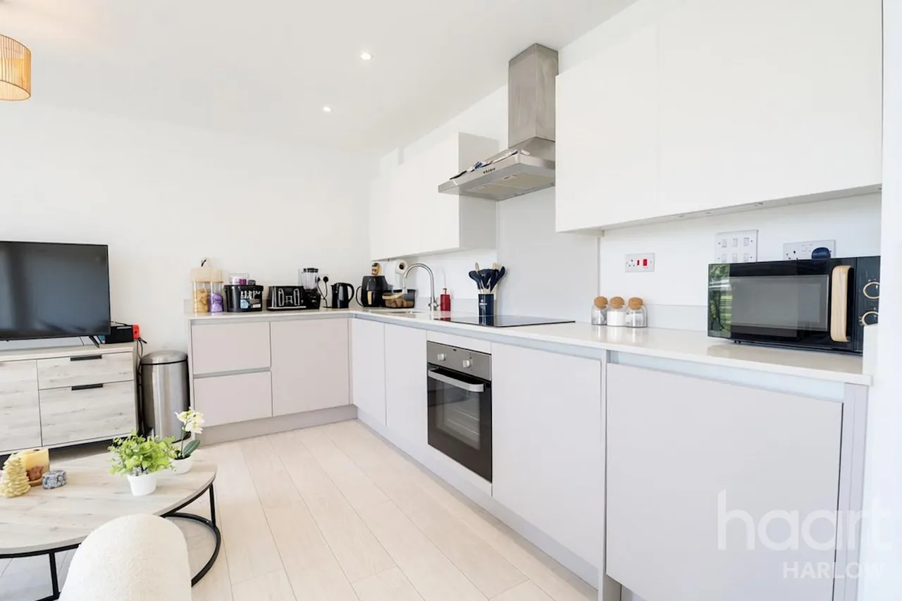 Magnolia House, Harlow, CM20, photo 3