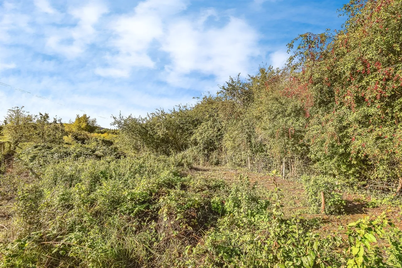 Lanes End Hill, Rodden, BA11, photo 21