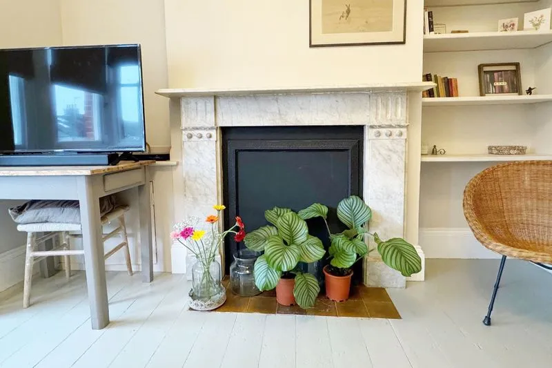 Osborne Road, Brighton BN1 6LU, photo 4