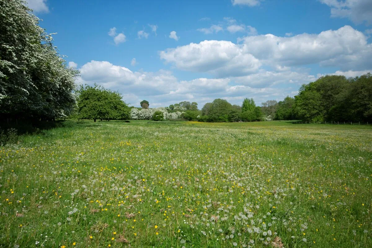 Ford Abbey, Pudleston, HR6, photo 26