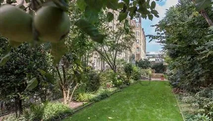 Chelsea, SW3 6SH, photo 12
